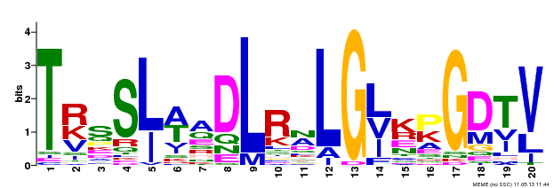 Motif 7 Logo