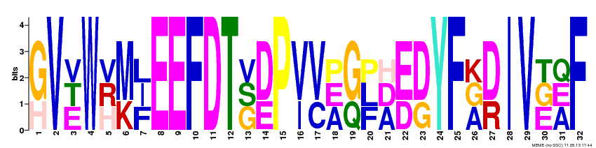 Motif 8 Logo