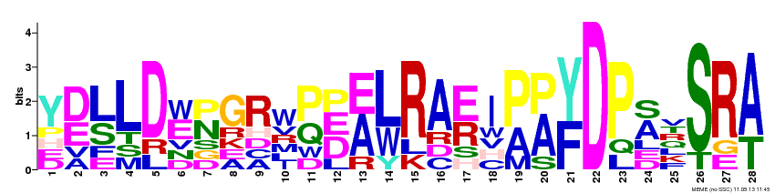 Motif 9 Logo