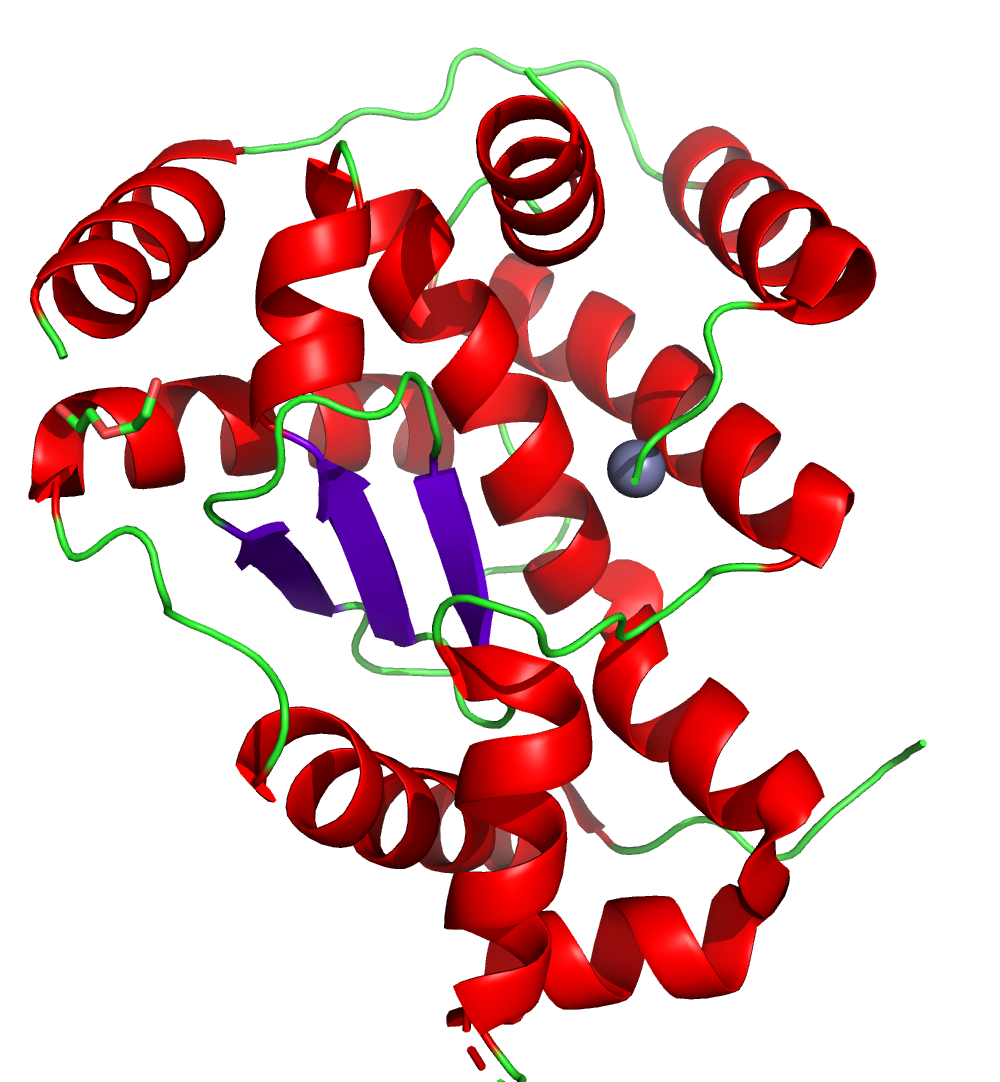 Вторичная структура