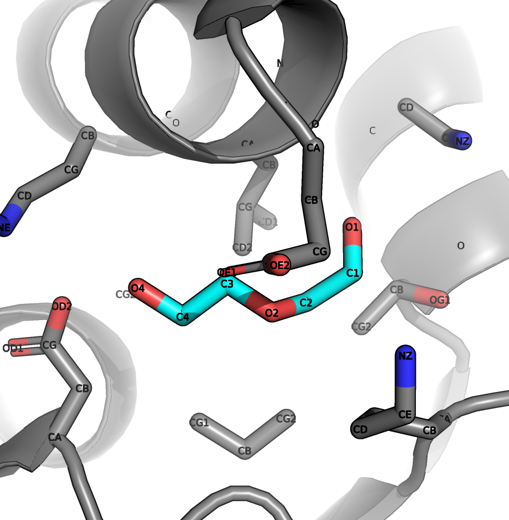 Вторичная структура
