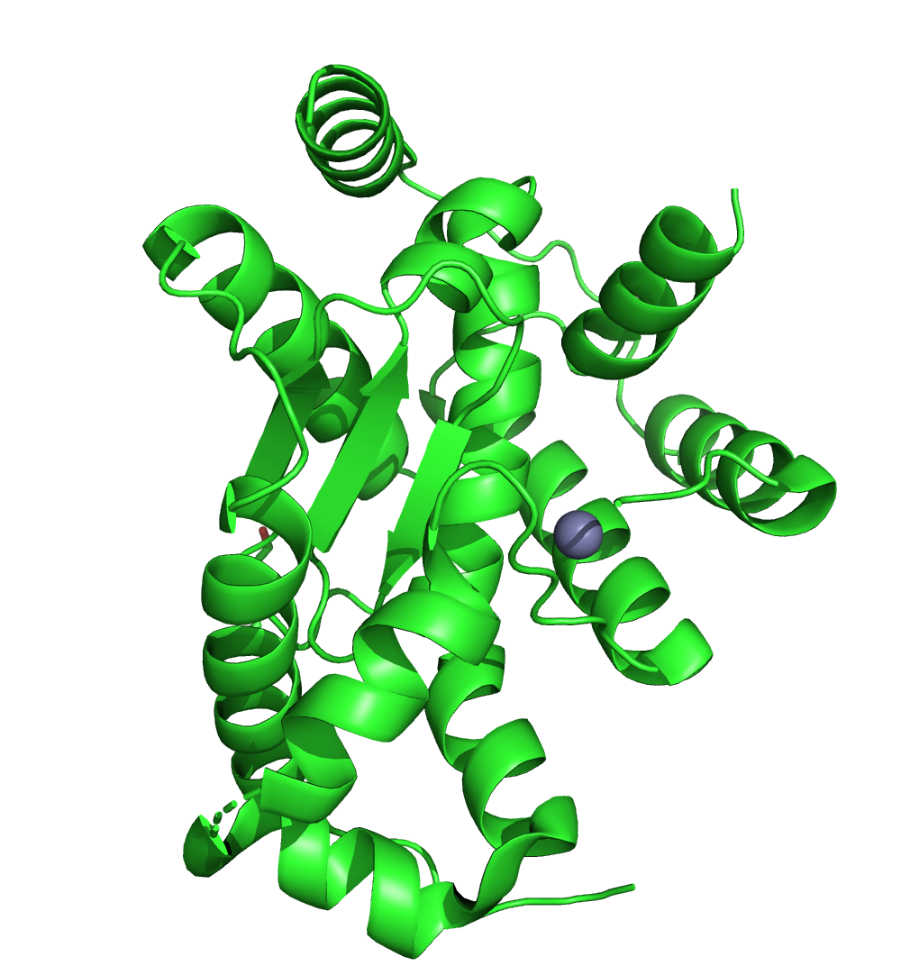Структура белка
