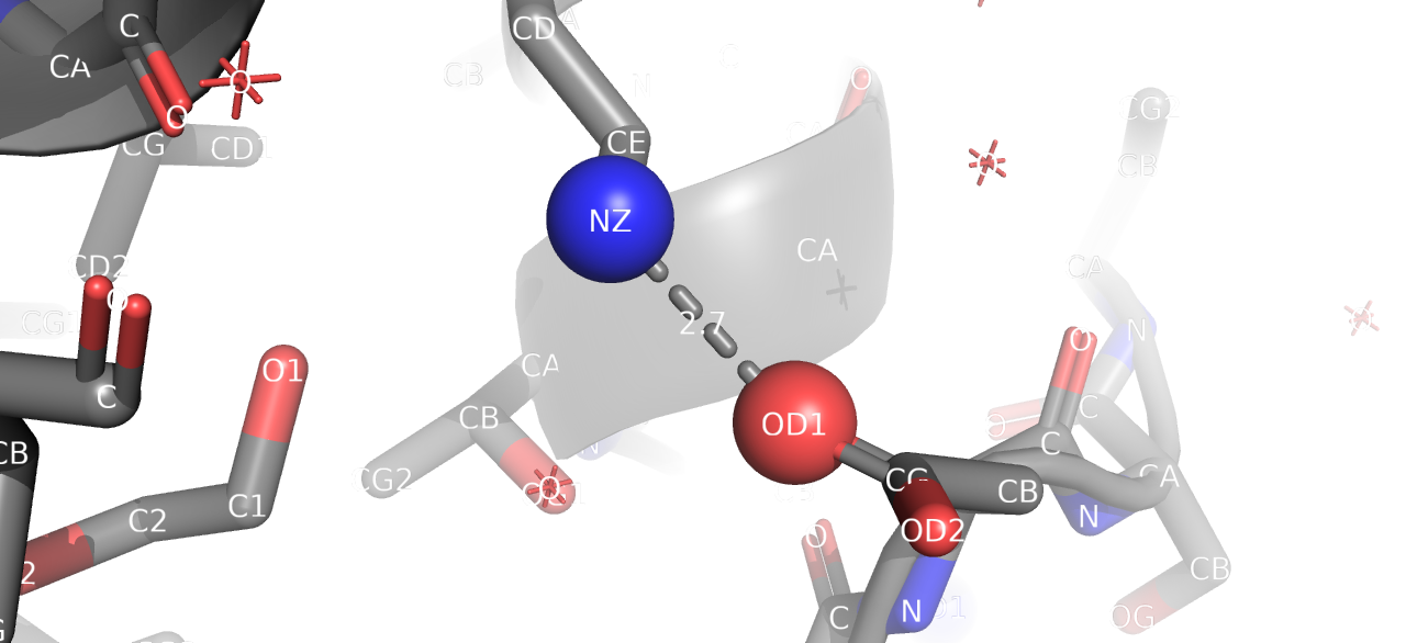 Солевой мостик