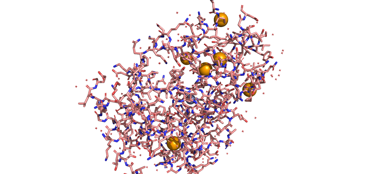 Отсутствие дисульфидных связей