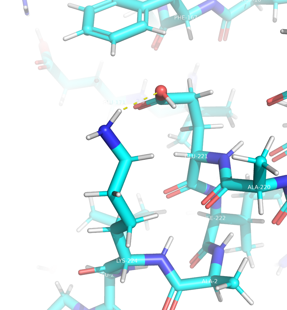 Водородная связь боковых цепей