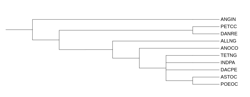 Дерево по систематике