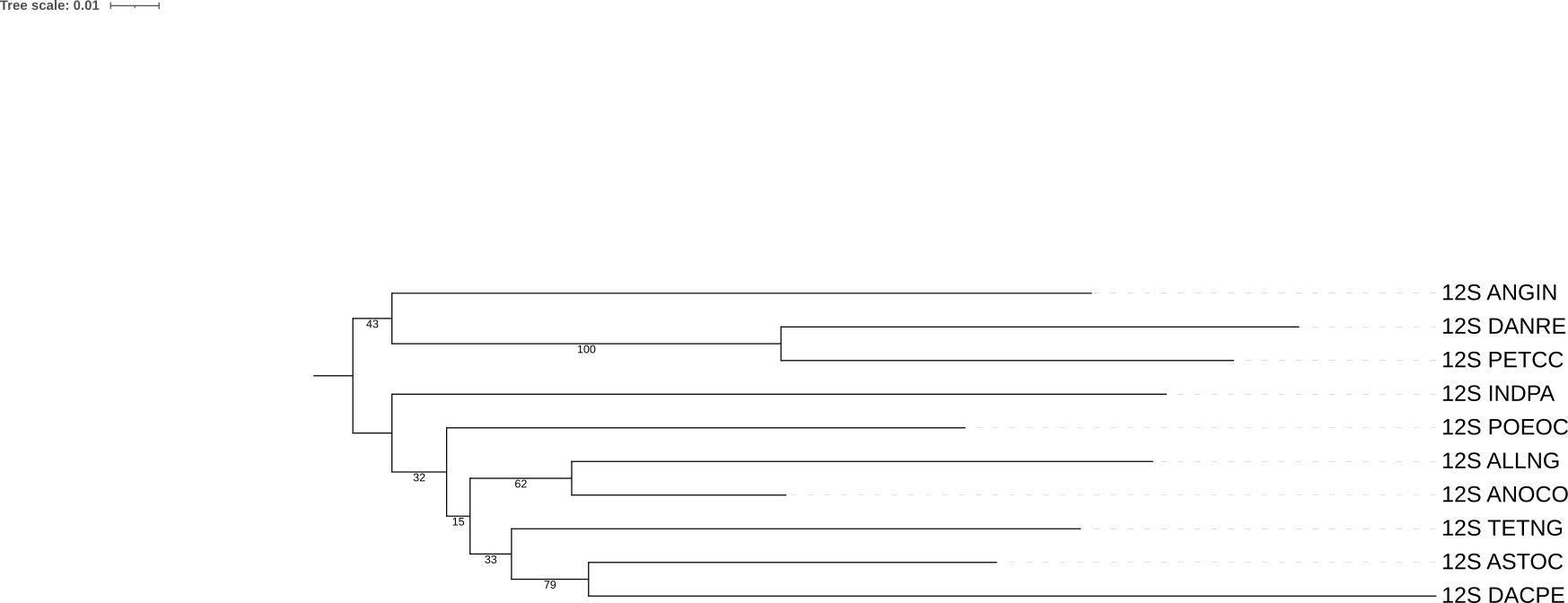 Дерево с бутстреп-поддержкой