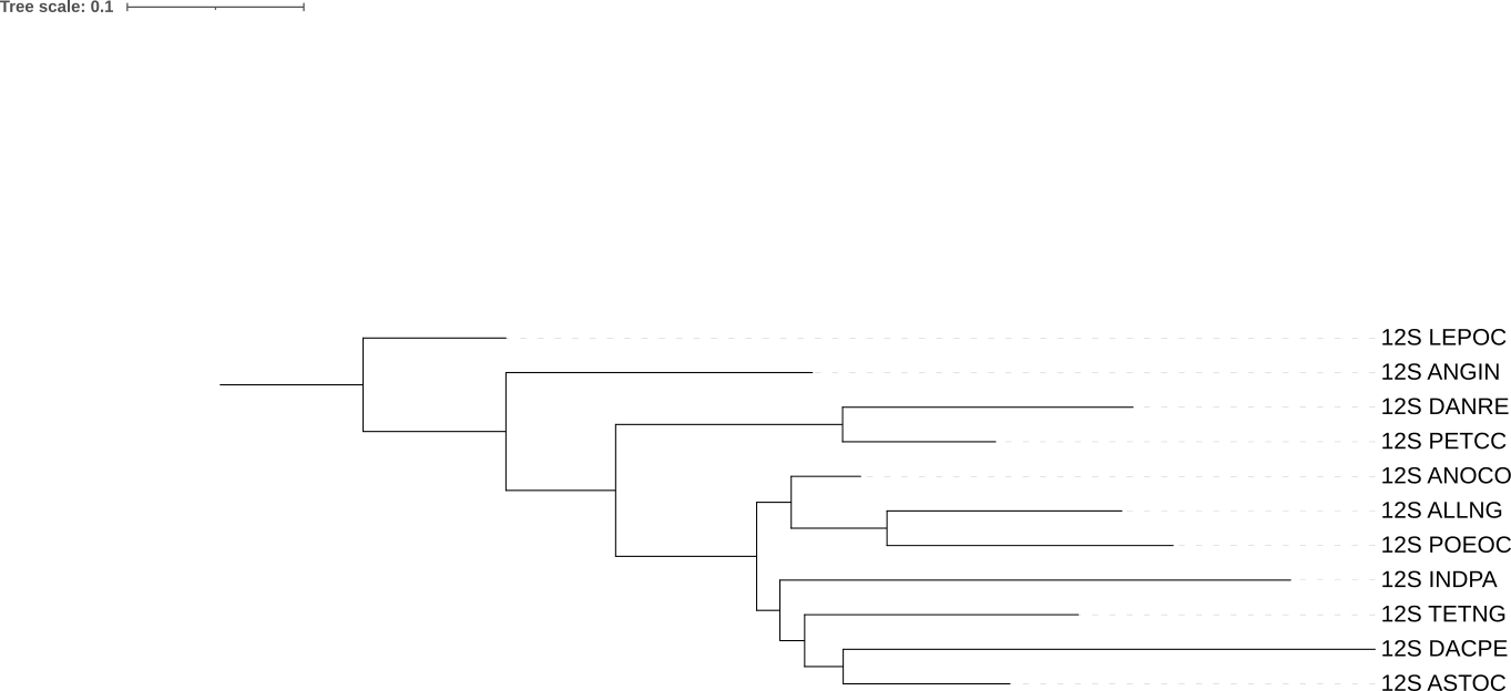Дерево с аутгруппой