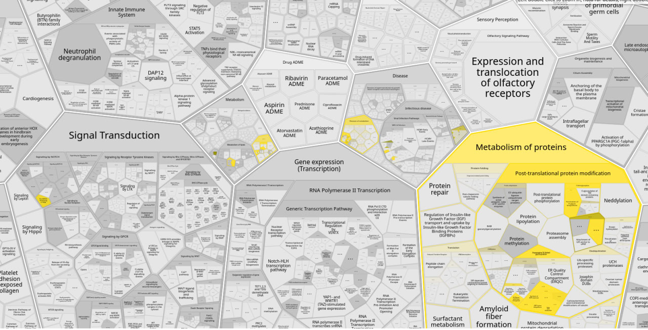 Общий вид выдачи визуализированный с ReacFoam