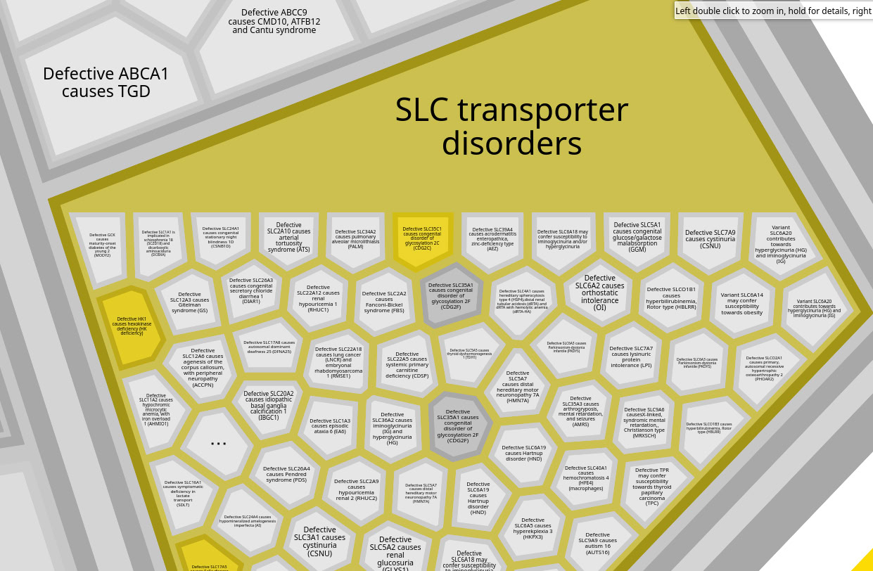 Заболевания, связанные с SLC-транспортерами