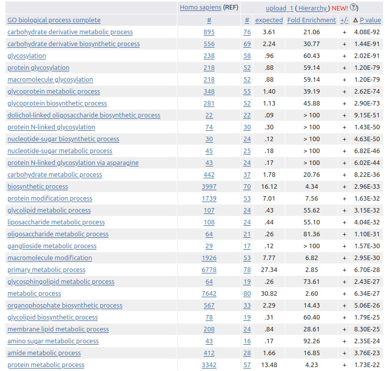Наиболее статистически значимые находки по Biological Process