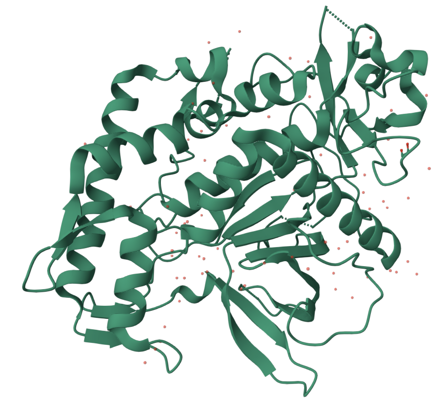 Рис. 1. 3QIX - цепь А ботулинического токсина. Общий вид.