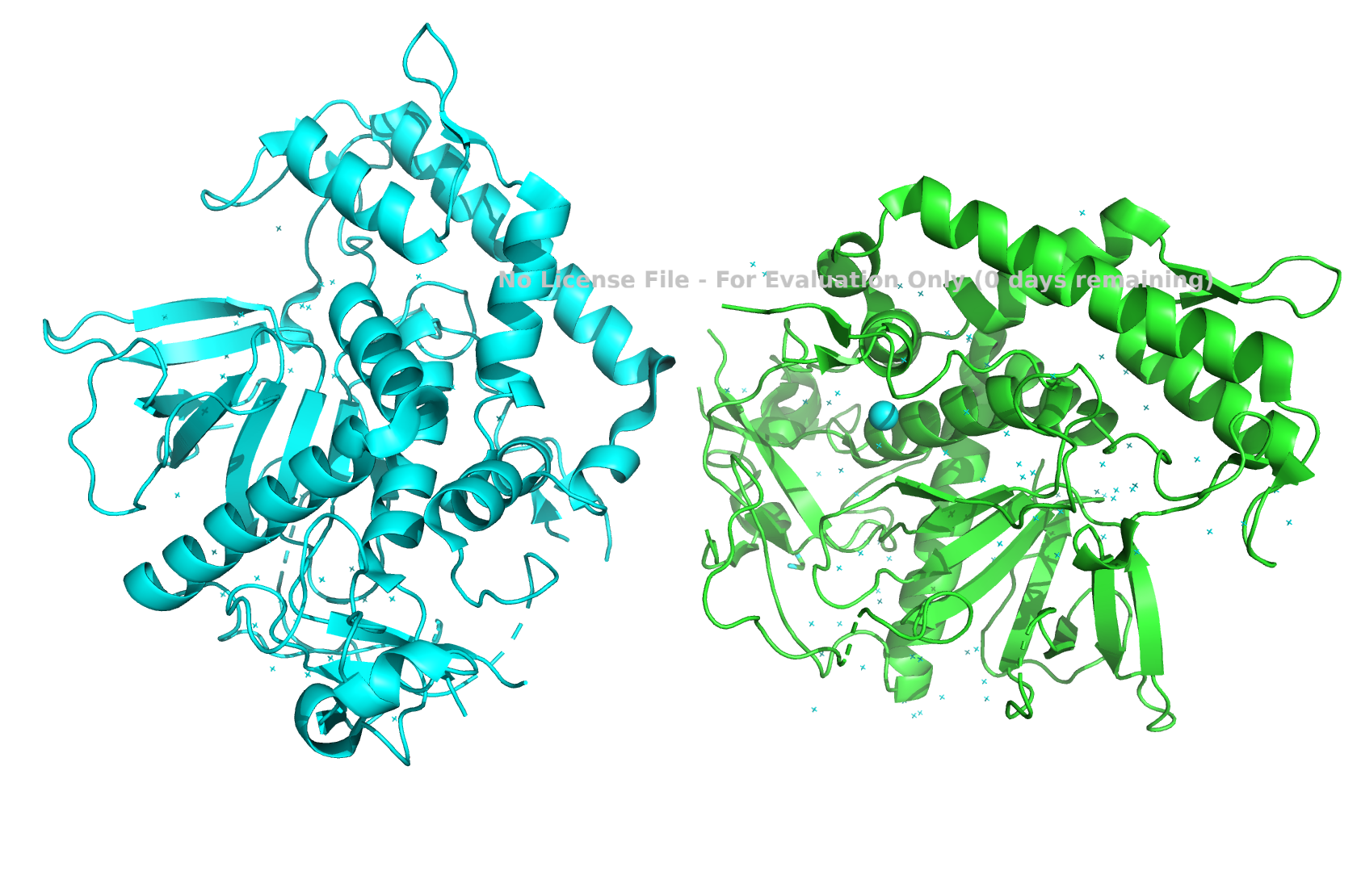 Рис. 2. Общий вид биологической единицы.