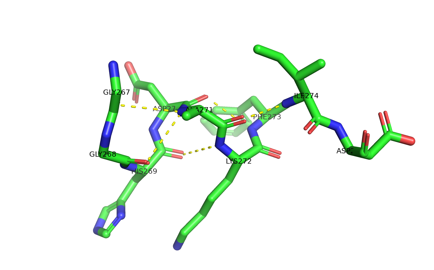 Водородные связи, затрагивающие атомы остова белка