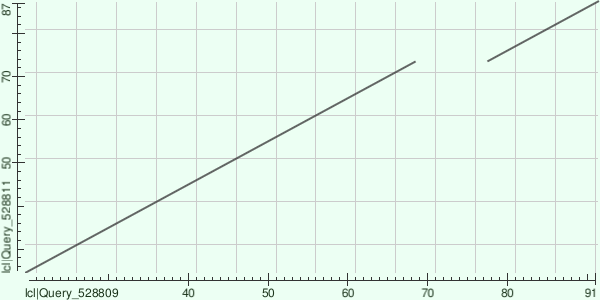 Рис. 1. Dotplot двух последовательностей с одним и тем же доменом, но с разной доменной архитектурой.