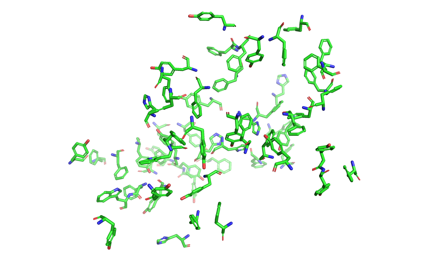 Ароматические кольца белка
