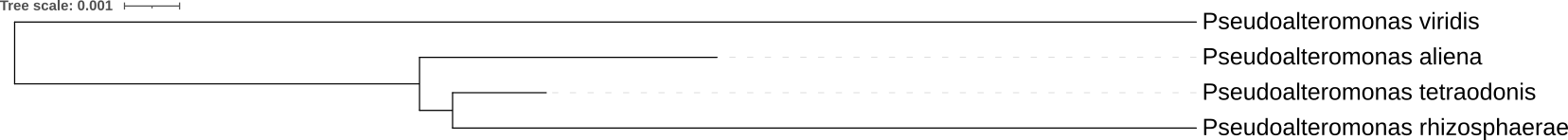 Филогенетическое дерево