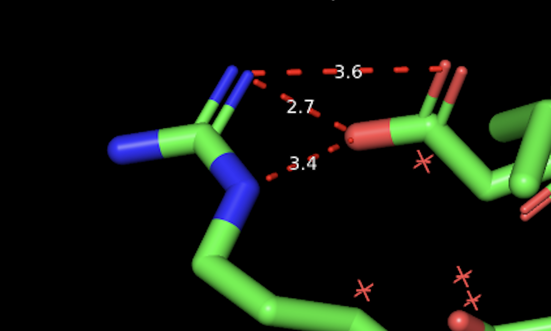Солевой мостик
