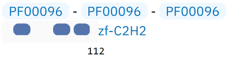 реакция CTP