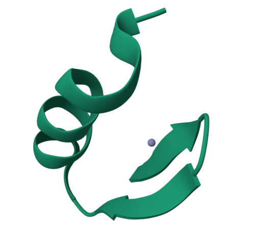 Цинковый палец C2H2