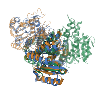 структурное выравнивание