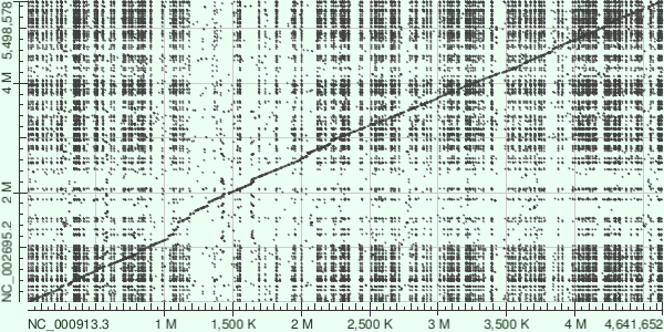 Схема выравнивания методом blastn