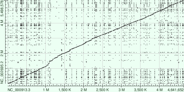 Схема выравнивания методом megablast