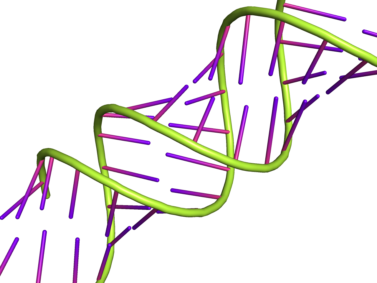 nucl