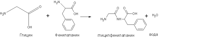 Фенилаланин аланин