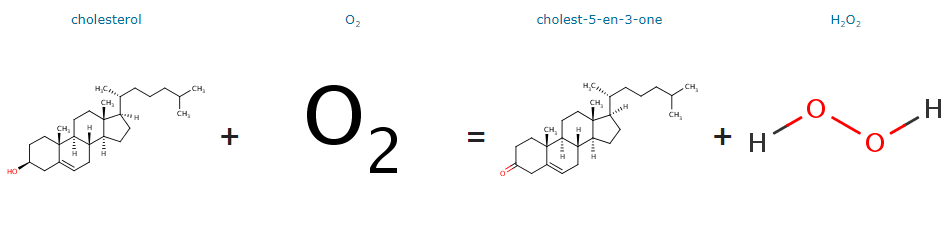 catalysis of the oxidation of the 3-beta-hydroxyl group of cholesterol