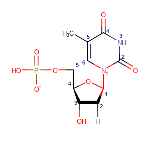 2'-дезокситимидинмонофосфат