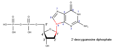 2'-deoxyguanosine diphosphate