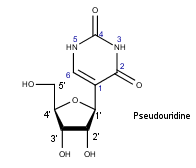 pseudouridine