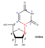 uridine