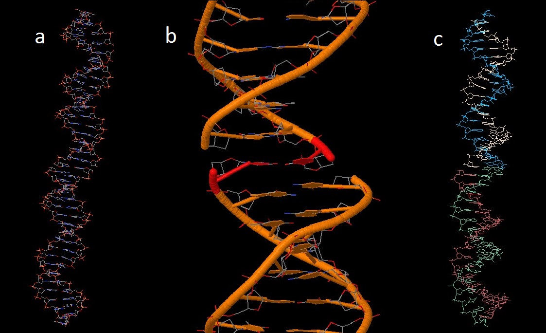 Разрушение рнк. Мутационная ДНК. Разрушение ДНК. Изменение структуры ДНК. Поврежденная ДНК.