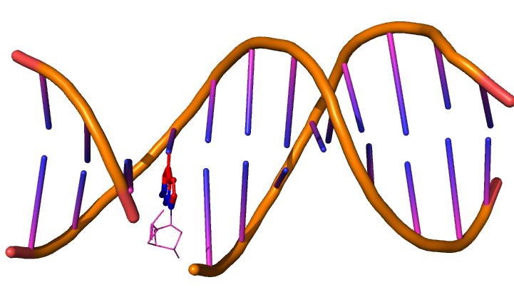 1bna.pdb