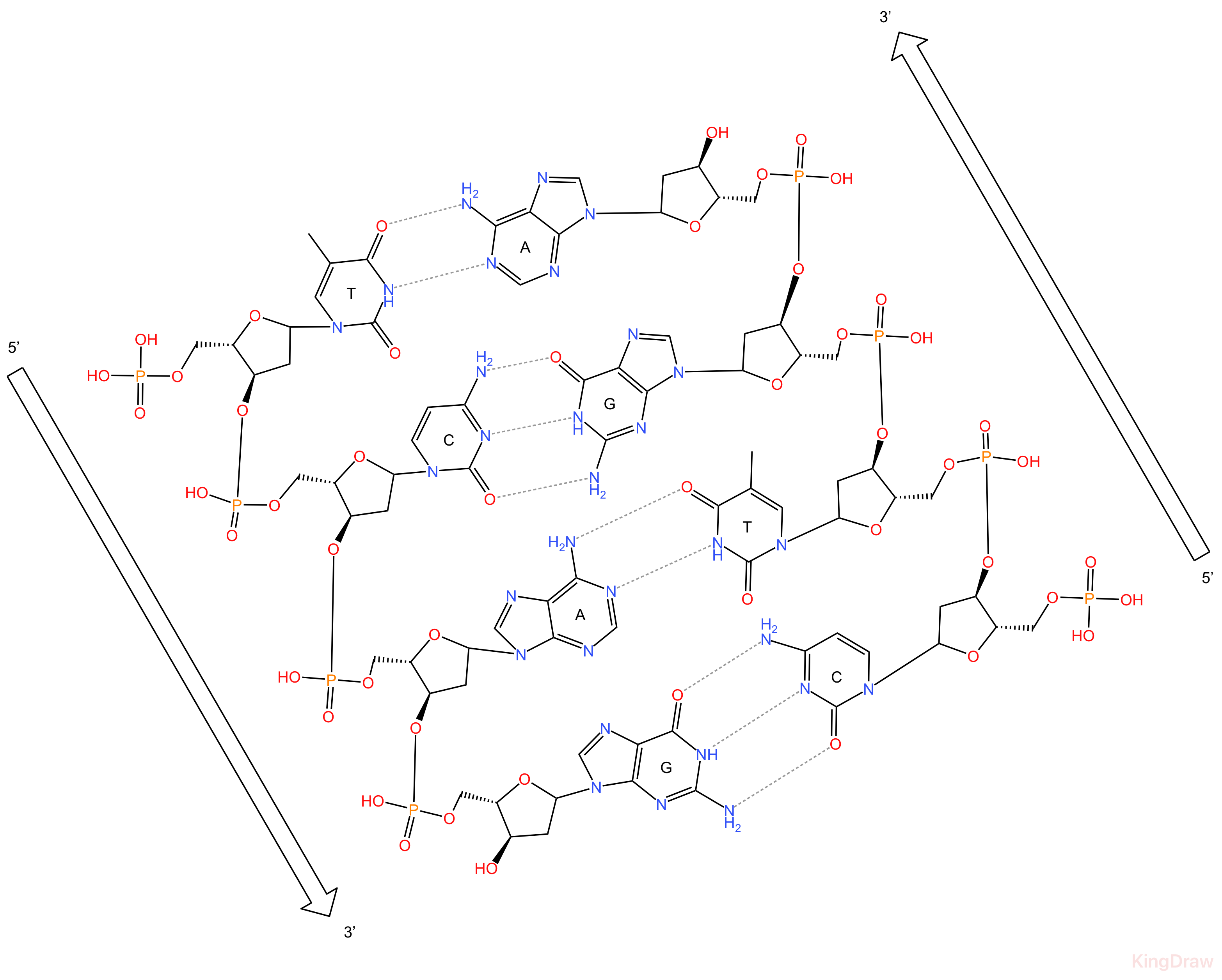 мое фото здесь