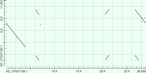 мое фото здесь
