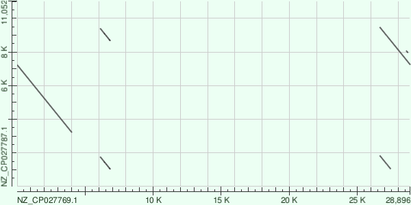 мое фото здесь