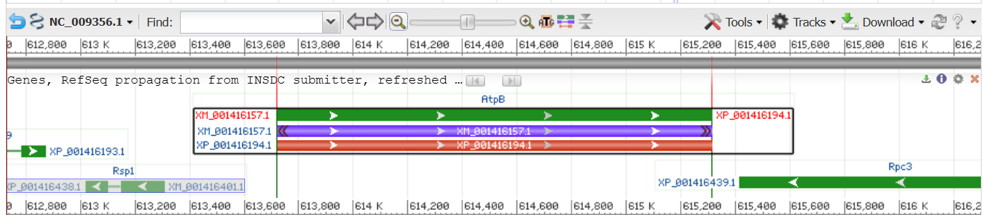 мое фото здесь
