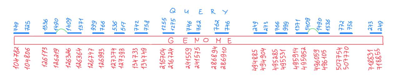 мое фото здесь