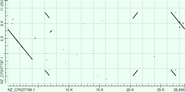 мое фото здесь