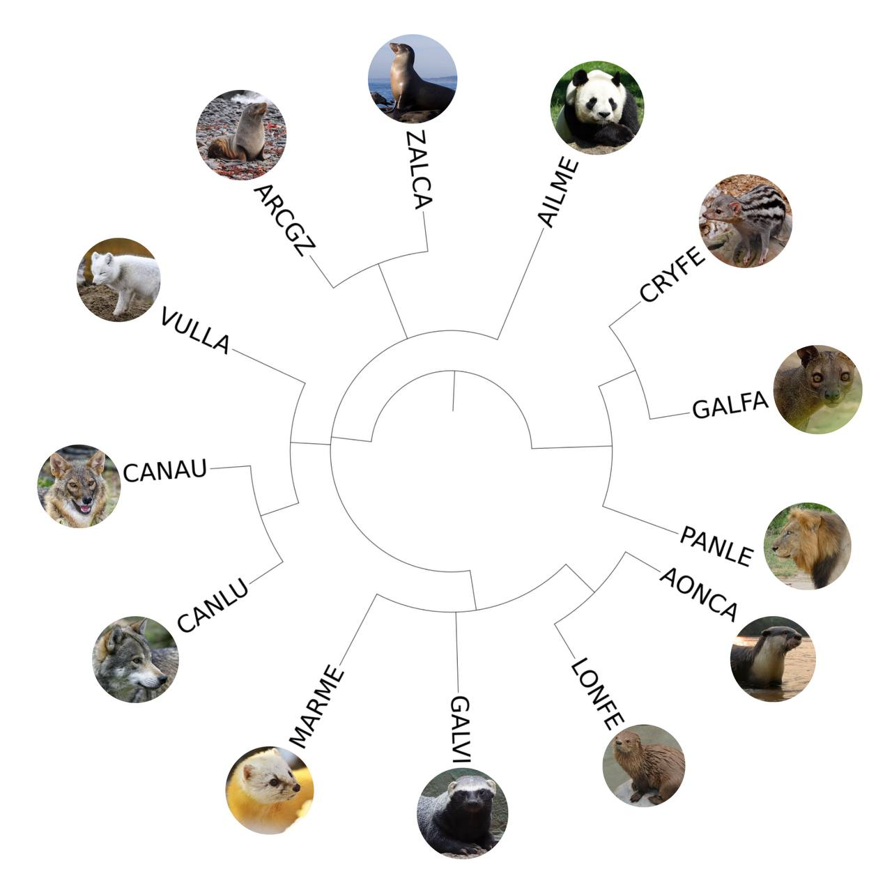 мое фото здесь