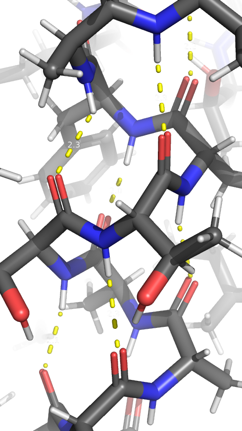 hydrogen bond helix1
