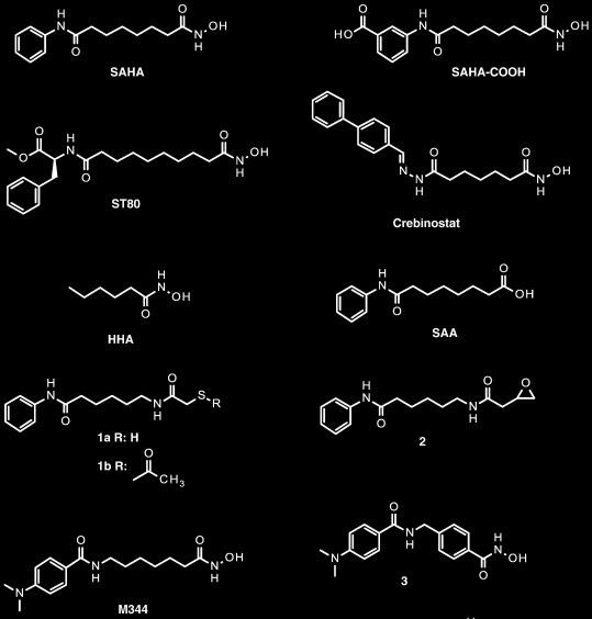 Inhibitors of HDACs