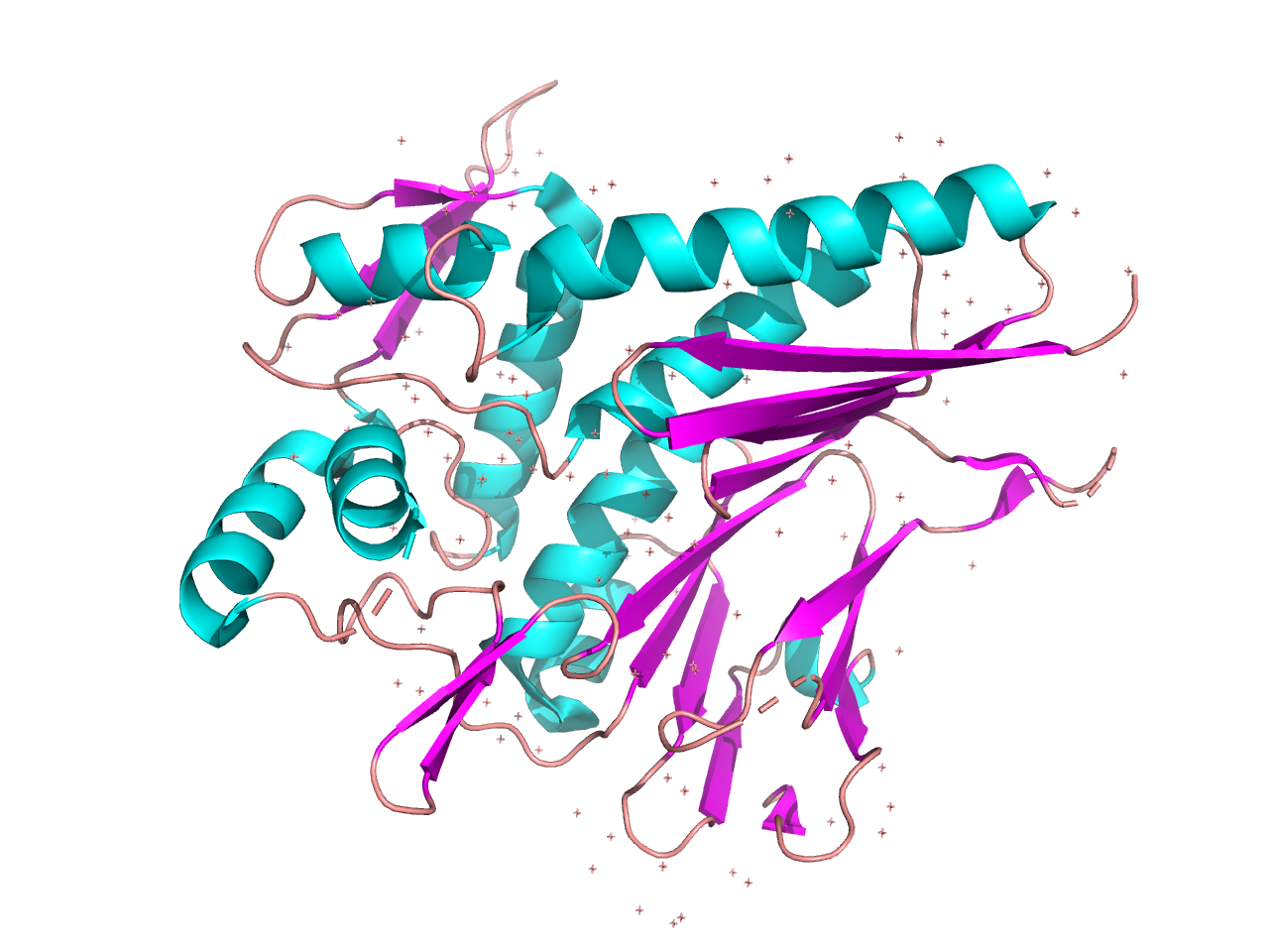 abprotein