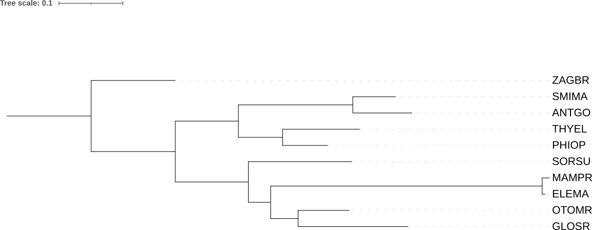 ex2