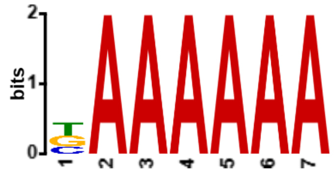 ex1
