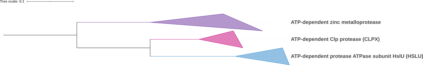 ex1