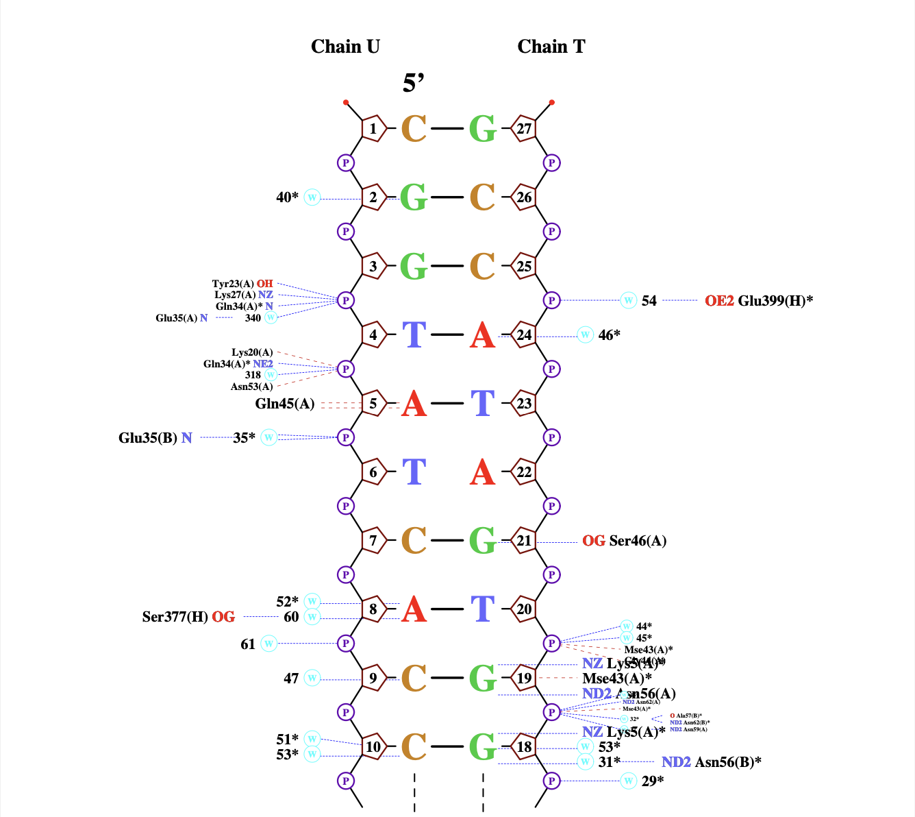 nucplot часть 1